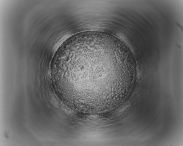 X0000102260883200808011402