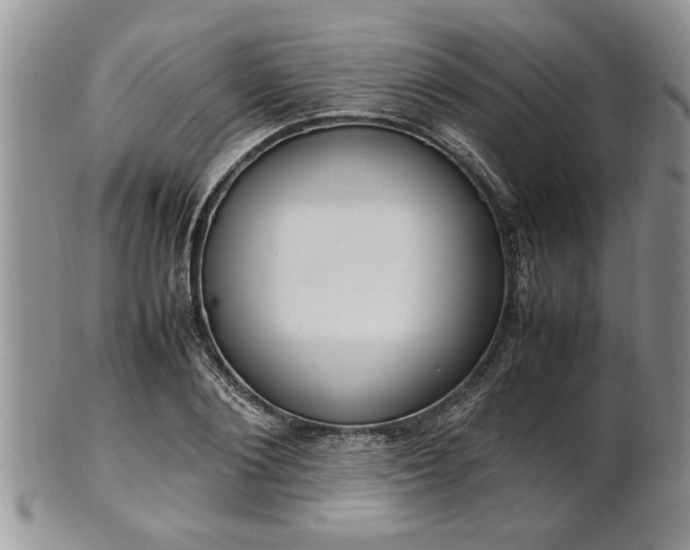 X0000102260884200808011402