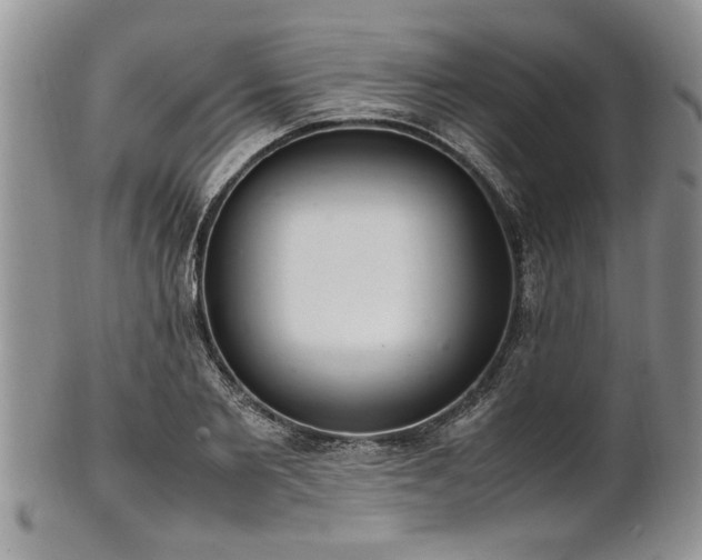 X0000102260885200808011402