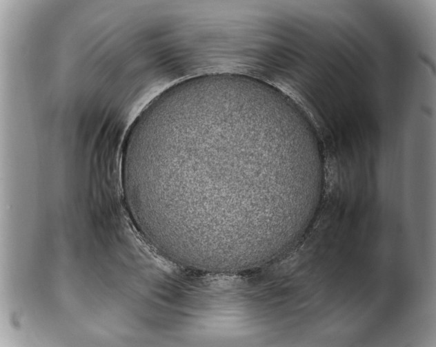 X0000102260886200808011402