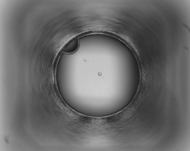 X0000102260887200808011402