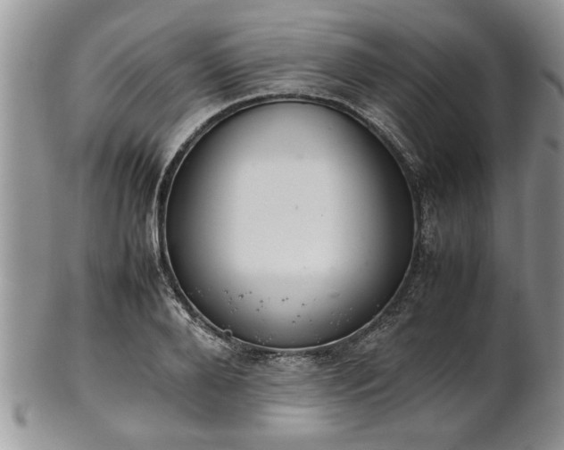 X0000102260888200808011402