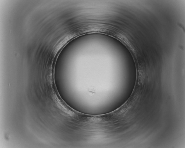 X0000102260890200808011402