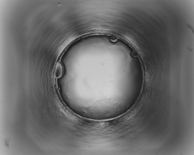 X0000102260891200808011402