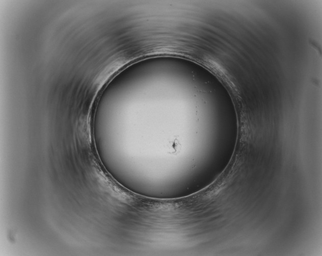 X0000102260892200808011402