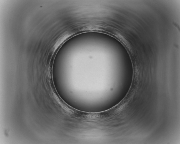 X0000102260893200808011402