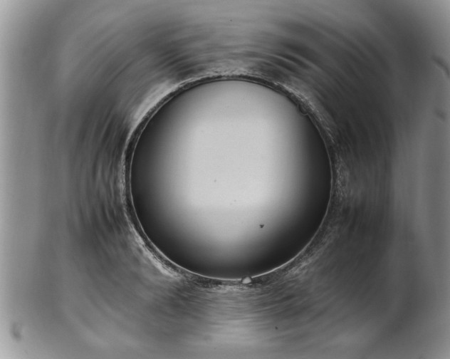 X0000102260894200808011402