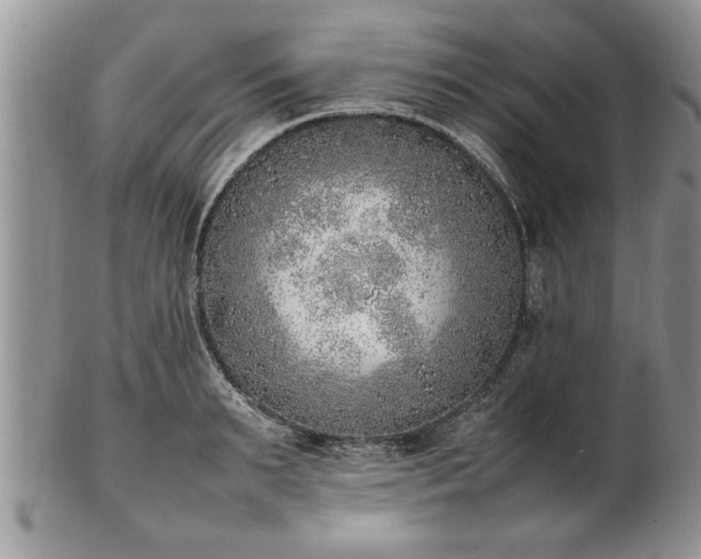 X0000102260895200808011402