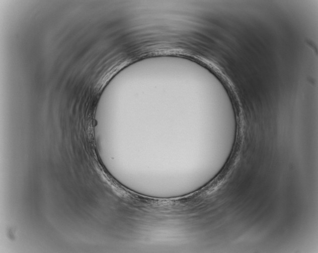 X0000102260897200808011402