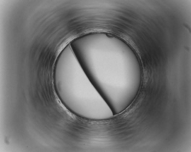 X0000102260898200808011402