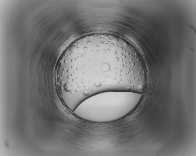 X0000102260899200808011402