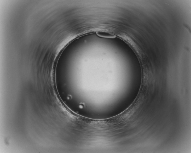 X0000102260902200808011402