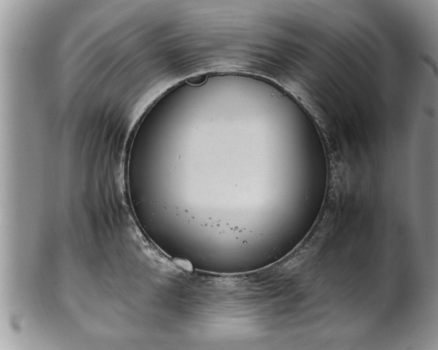 X0000102260904200808011402