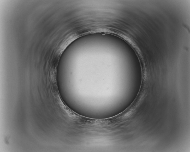 X0000102260905200808011402