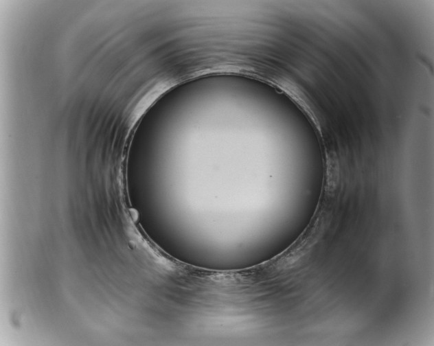 X0000102260906200808011402