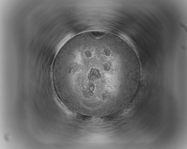 X0000102260907200808011402