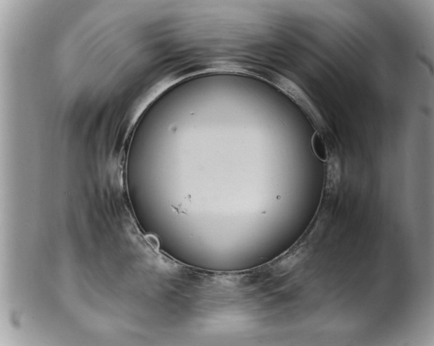 X0000102260908200808011402