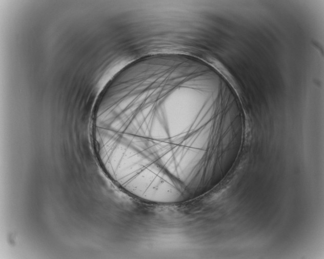 X0000102260909200808011401