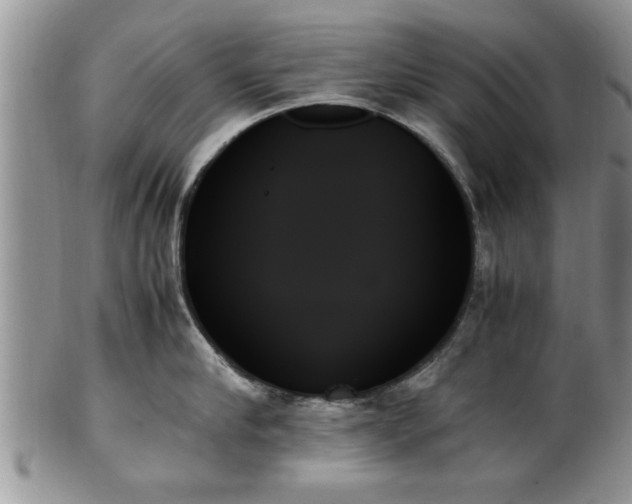 X0000102260910200808011401