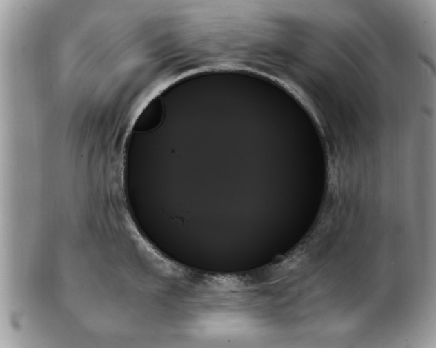 X0000102260911200808011401