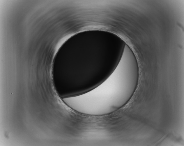 X0000102260912200808011401