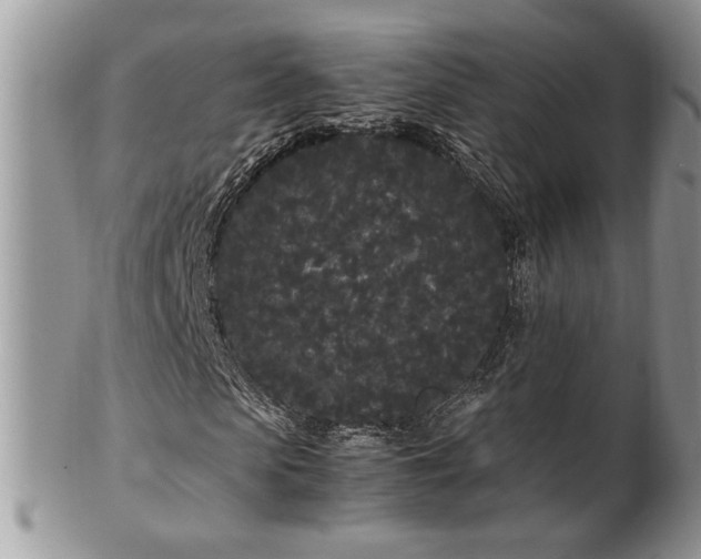 X0000102260913200808011401