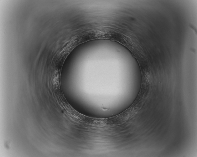 X0000102260914200808011401