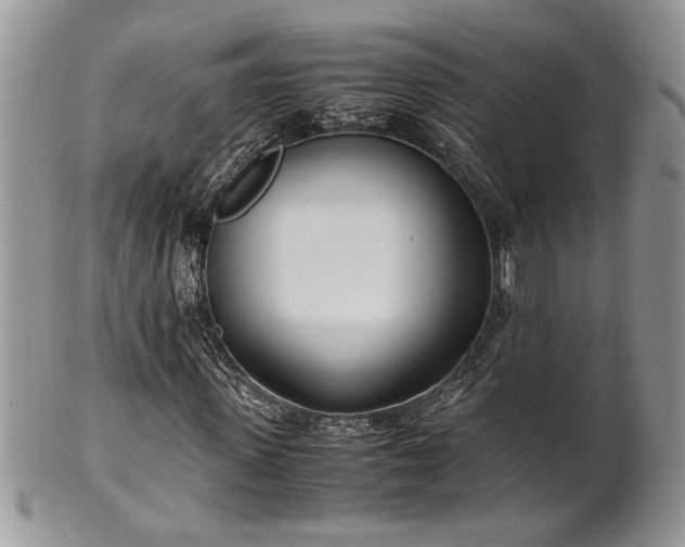 X0000102260915200808011401