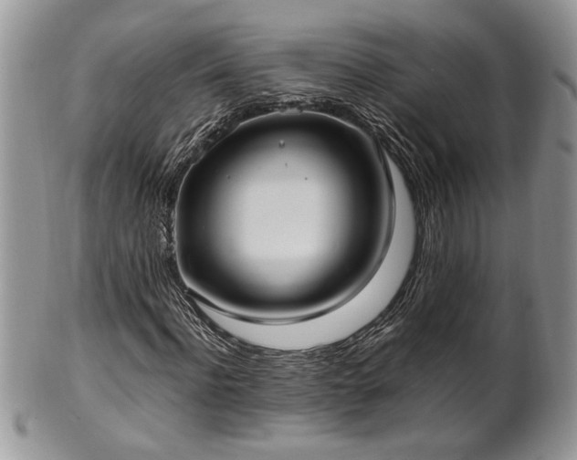 X0000102260916200808011401