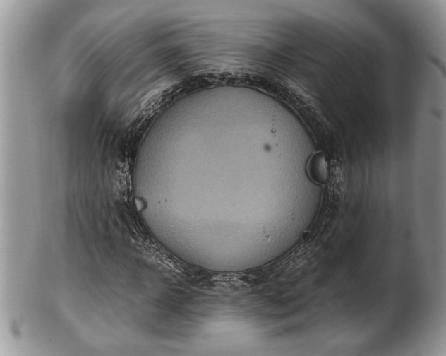 X0000102260918200808011401