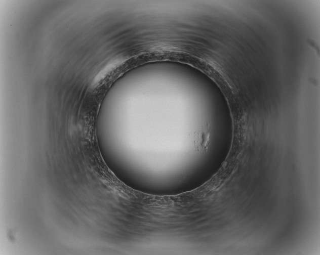 X0000102260919200808011401