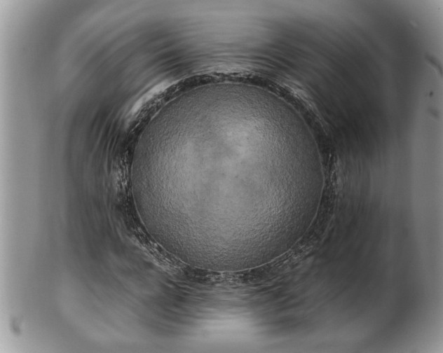 X0000102260920200808011401