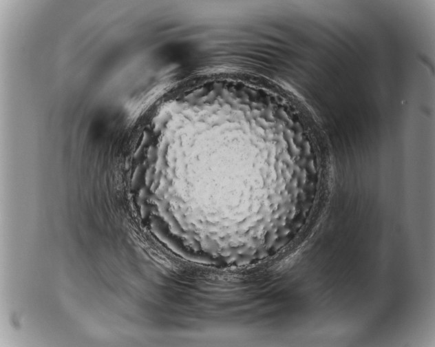 X0000102260921200808011401