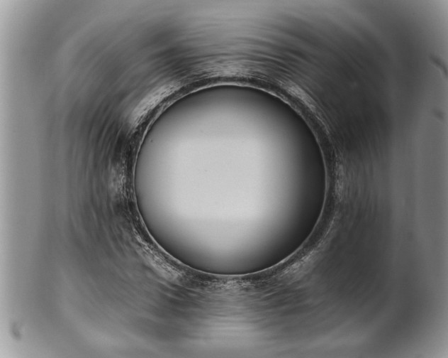 X0000102260922200808011401