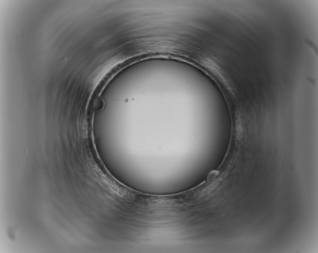 X0000102260924200808011401