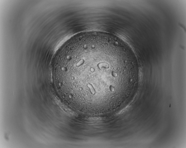 X0000102260925200808011401