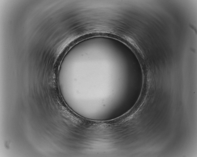 X0000102260926200808011401