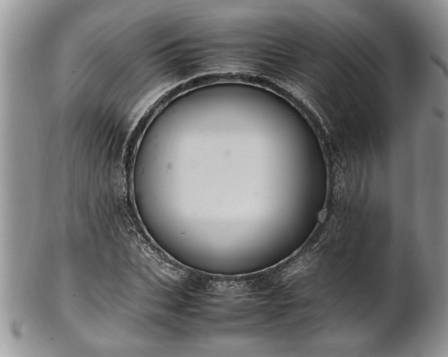 X0000102260927200808011401