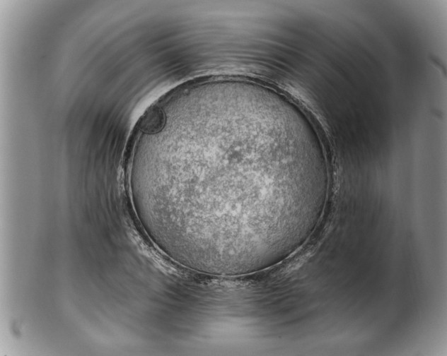 X0000102260928200808011401