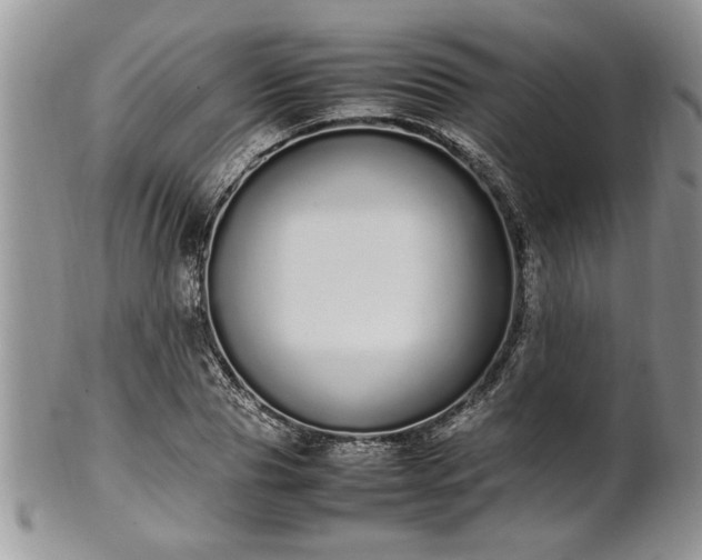 X0000102260929200808011401