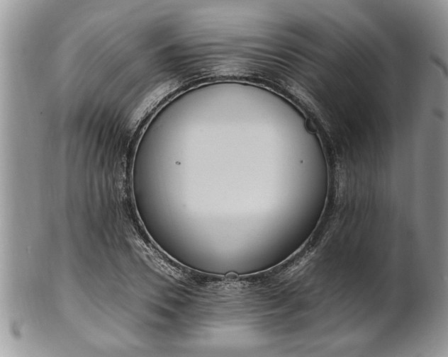 X0000102260930200808011401