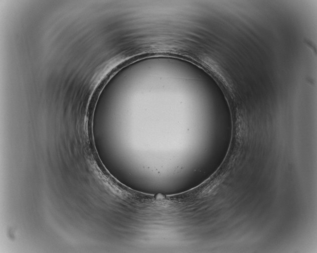 X0000102260932200808011401