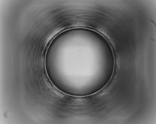 X0000102260933200808011401