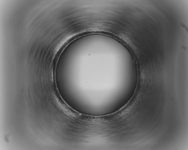 X0000102260934200808011401