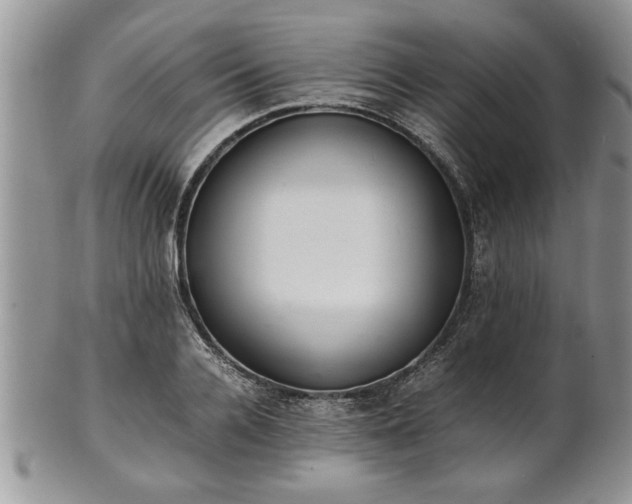 X0000102260936200808011401