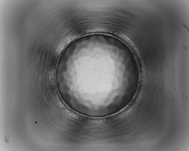 X0000102260937200808011401