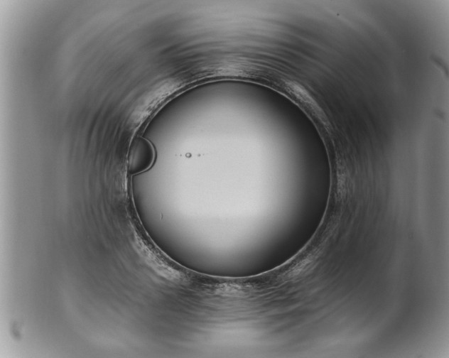 X0000102260938200808011401