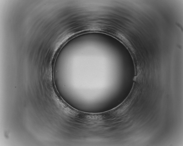 X0000102260939200808011401