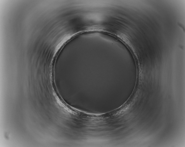 X0000102260941200808011401