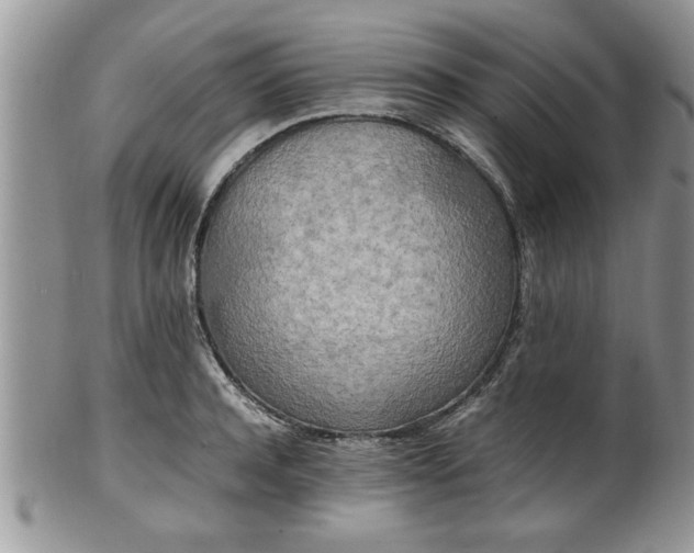 X0000102260944200808011401